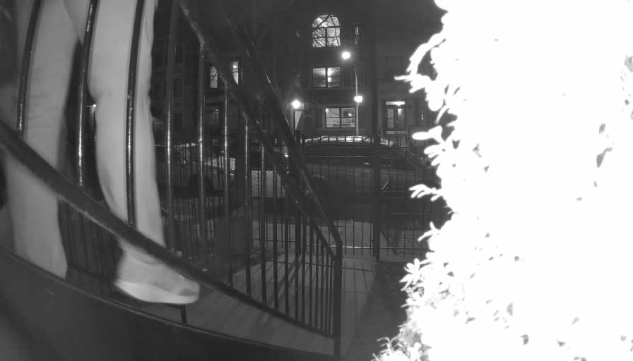 Reolink Camera Two_01_Reolink Home Hub One_20250321200525.jpg